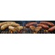 Comeaux's Boudin